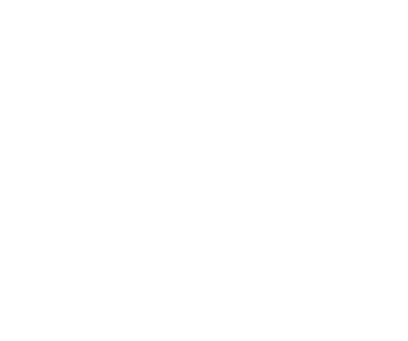 Logo Grenzenlos