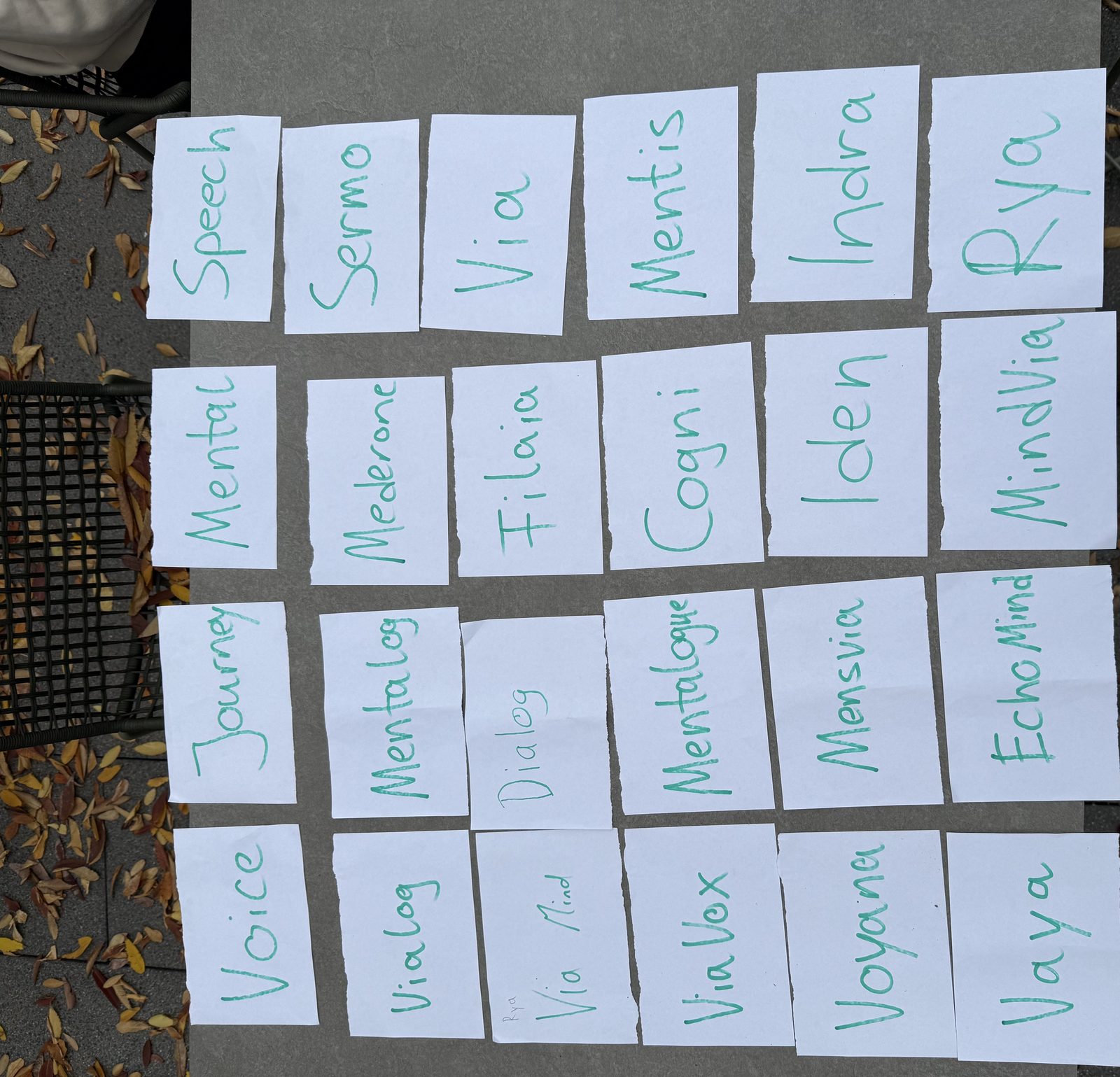 Handbeschriebene Namenskarten auf einem Tisch: Voice, Journey, Mental, Vialog, Via Vox, Mentalogue, Sermo, Cogni, Mentis, EchoMind