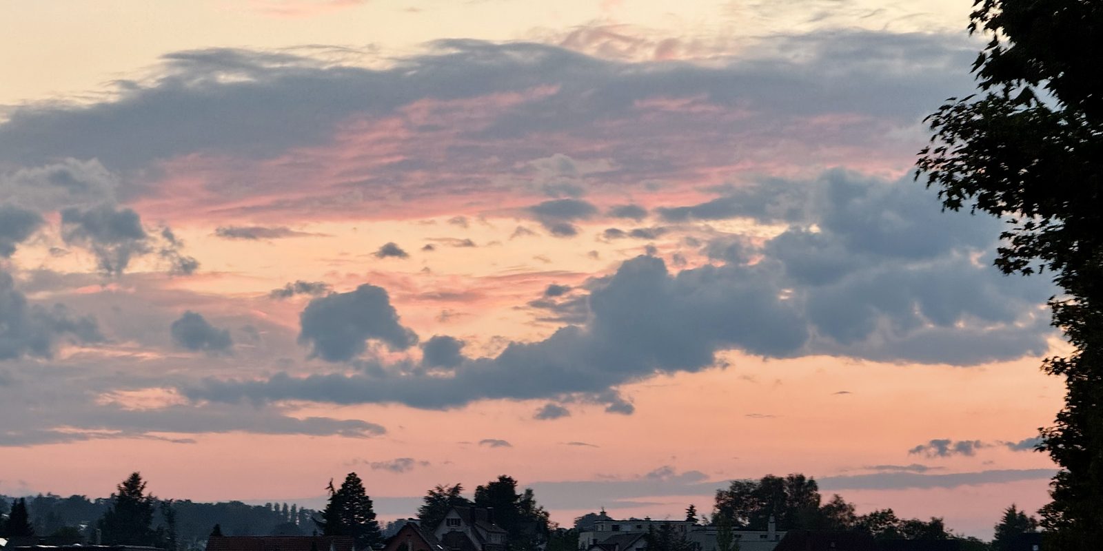 Rosa Abendwolken über den Dächern und Bäumen von Tägerwilen